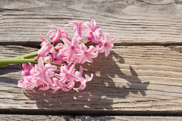 Piękne wiosenne kwiaty na drewnianym tle — Zdjęcie stockowe