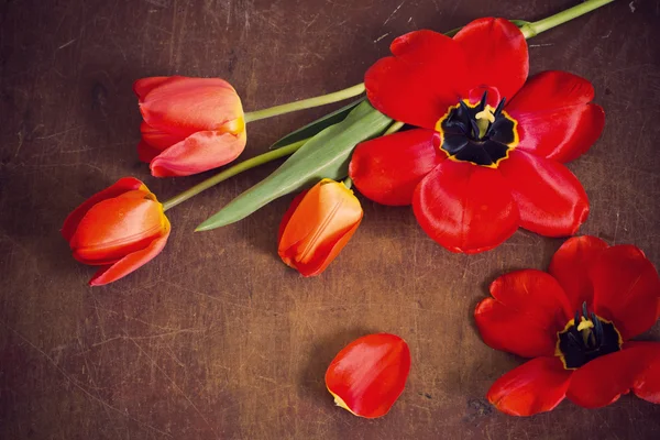 Červené tulipány na staré dřevěné pozadí — Stock fotografie