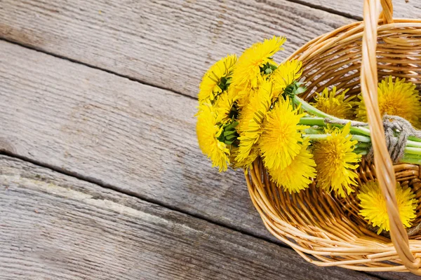 Flores de dente de leão — Fotografia de Stock