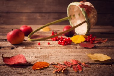 Sonbahar sakin bir hayat