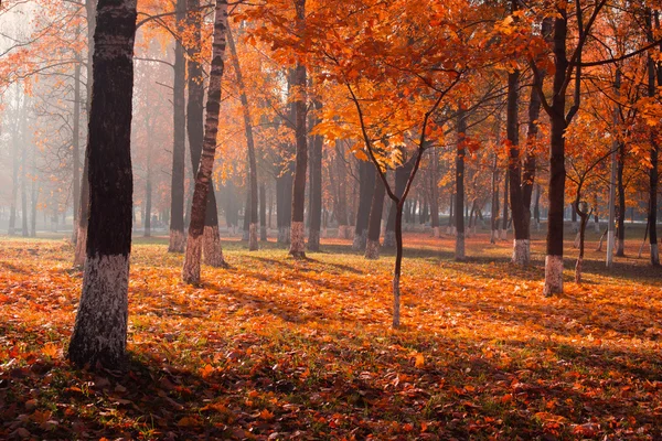 Sunny paesaggio autunnale — Foto Stock