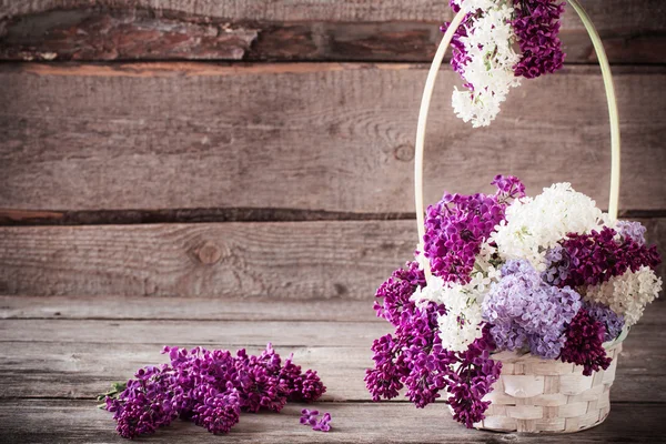 Still life with a blooming branch of lilac — Stock Photo, Image