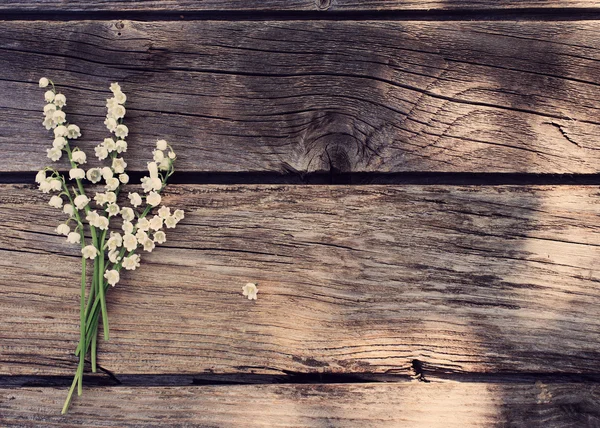 Mei-lily op houten achtergrond — Stockfoto