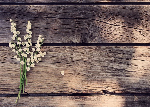 May-lily on wooden background — Stock Photo, Image