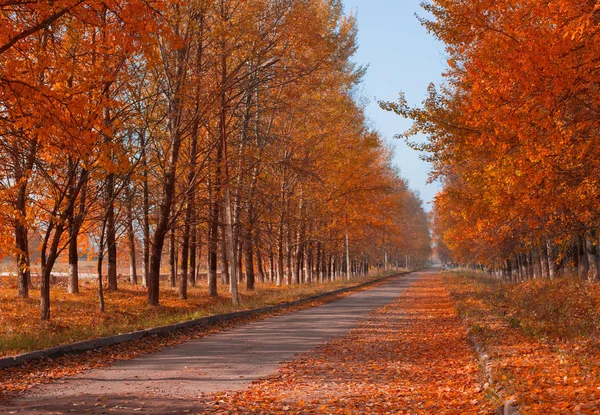 Vackert höstlandskap — Stockfoto