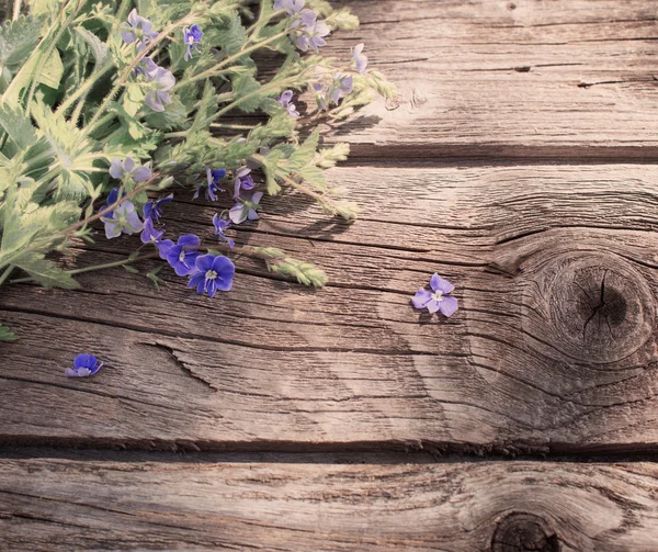 Blommor på trä bakgrund — Stockfoto