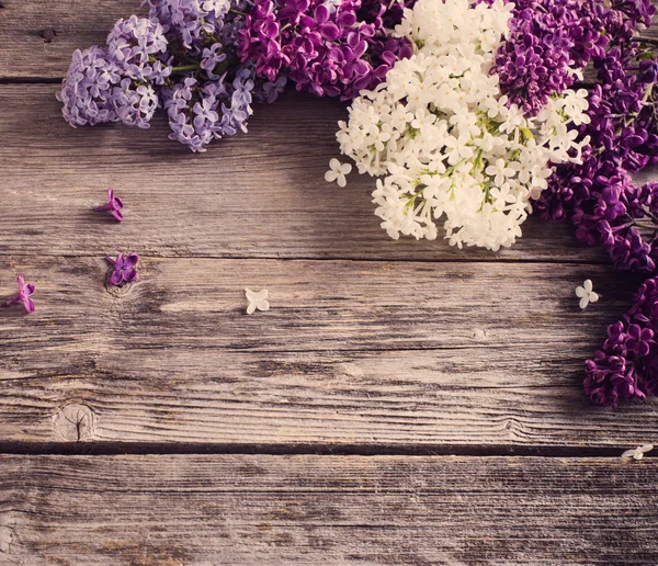 O belo lilás em um fundo de madeira — Fotografia de Stock
