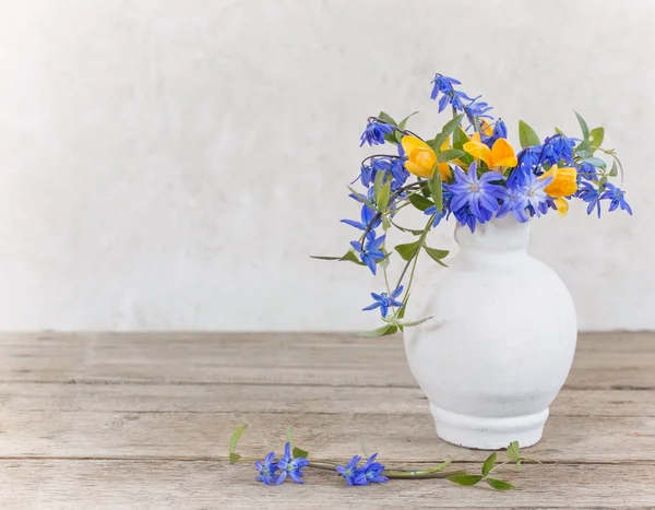 Voorjaarsbloemen — Stockfoto