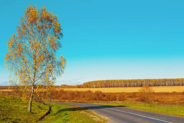 Höstlandskap — Stockfoto