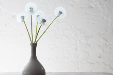 stillife dandelions ile