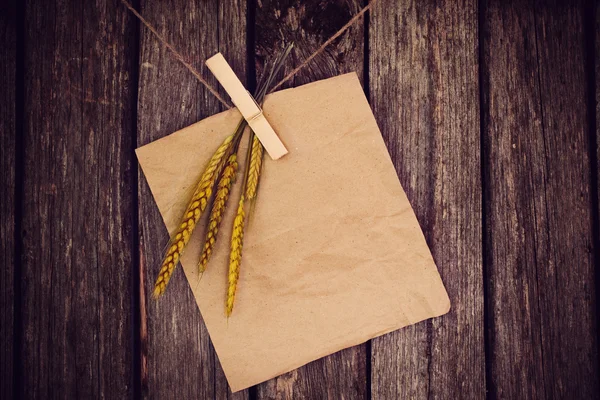 Spikes und Blatt Papier an alter Holzwand — Stockfoto