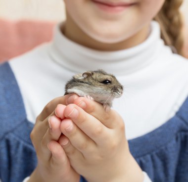 çocuk elinde hamster