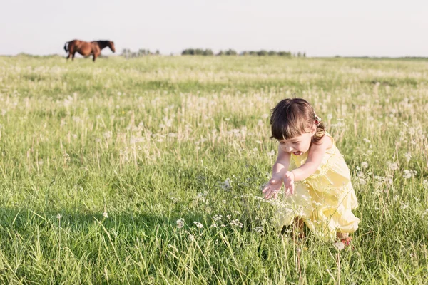 Little girl in meadow — Stock Photo, Image