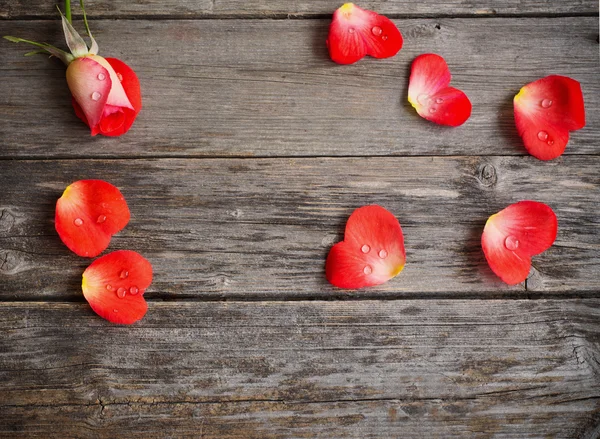 Ruusu ja terälehti muodossa sydän puinen tausta — kuvapankkivalokuva