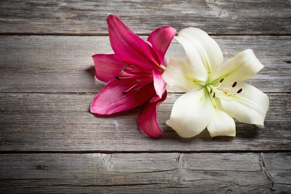 Два цветка на деревянном фоне — стоковое фото