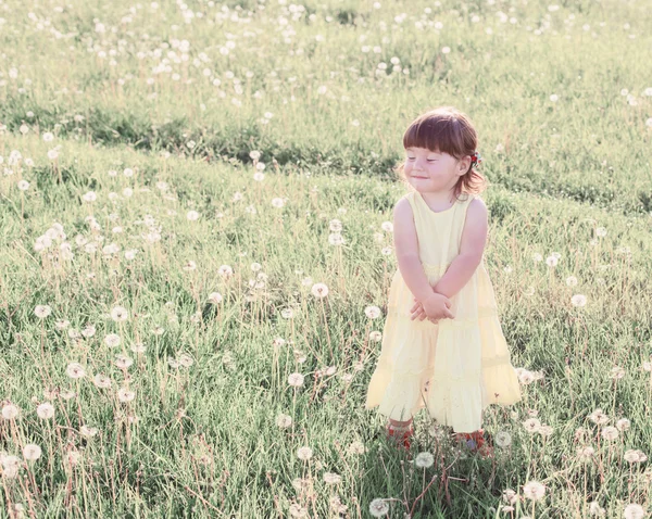 Dandelions ile küçük kız — Stok fotoğraf