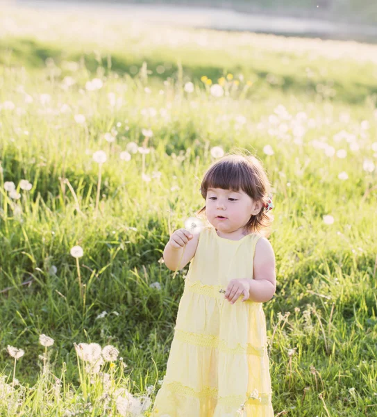 Meisje met paardebloemen — Stockfoto