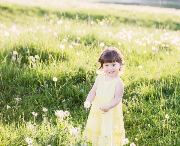 Meisje met paardebloemen — Stockfoto