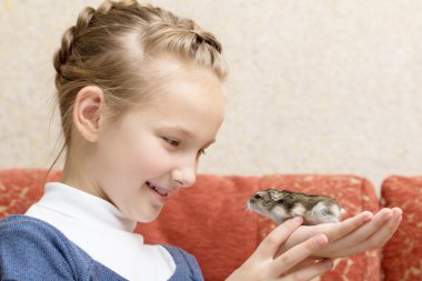 gri hamster ile küçük kız