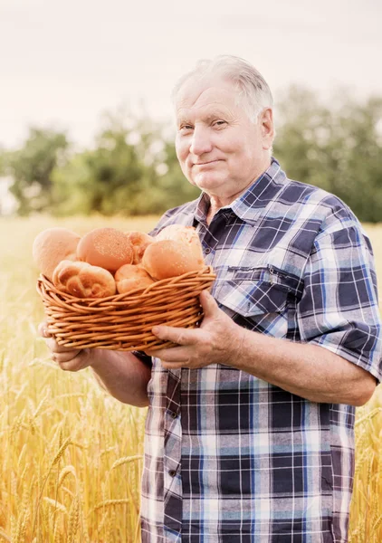 Starcy z chleba stojący w pola pszenicy — Zdjęcie stockowe