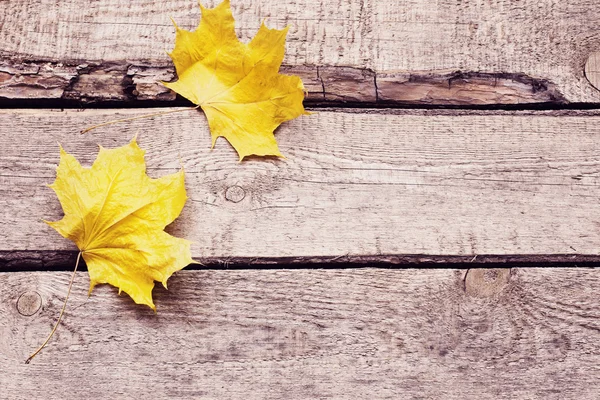 Hoja de arce sobre superficie de madera — Foto de Stock