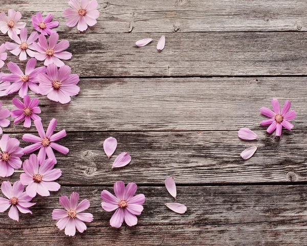 Flowers on wooden background — Stock Photo, Image