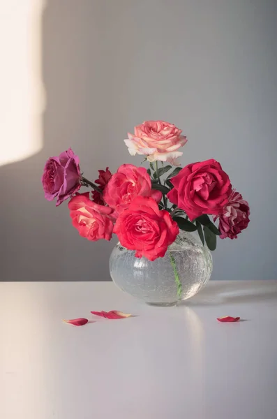 灰色の背景のガラス花瓶の赤いバラ — ストック写真