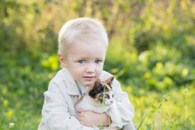 Güneşli yaz gününde kucağında kedi yavrusu tutan küçük çocuk.