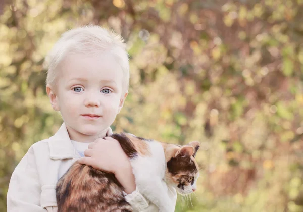 Kleine Jongen Houden Kitten Zonnige Zomerdag — Stockfoto