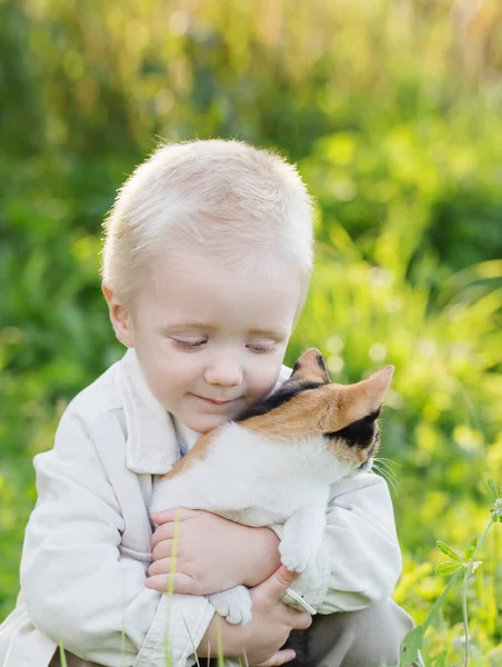 Malý Chlapec Drží Kotě Slunném Letním Dni — Stock fotografie