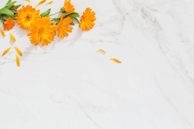 Beyaz mermer arka planda turuncu kadife çiçekleri