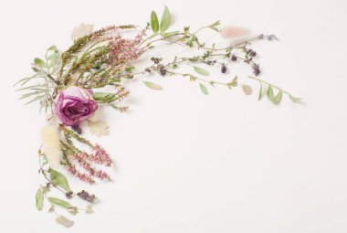 Beyaz Arkaplanda Kurumuş Çiçekler