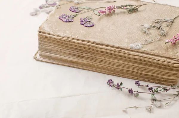 Fleurs Séchées Avec Vieux Livre Sur Vieux Papier — Photo