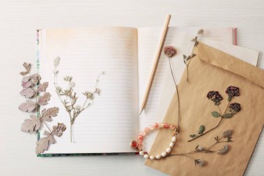 Kurumuş bitkilerin ve eski kağıt yapraklarının klasik bileşimi