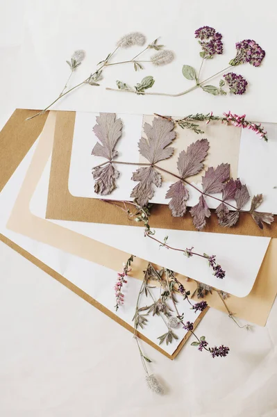 干植物和旧纸片的复古成分 — 图库照片