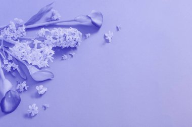 2022 yılının renginde kağıt arkaplanda bahar çiçekleri