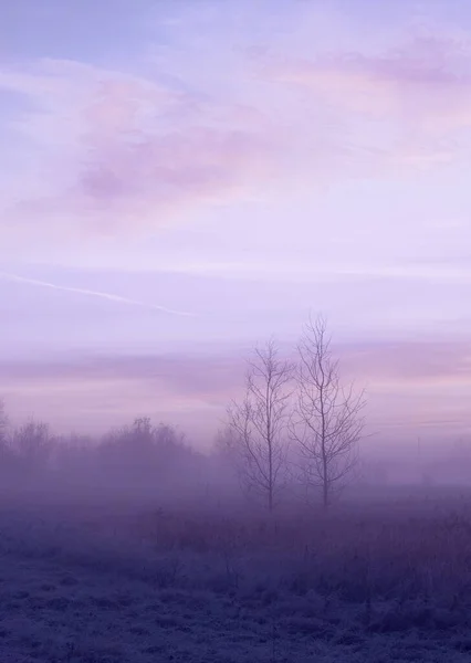 Красивый Зимний Пейзаж Туманом Морозом Цвет 2022 Года — стоковое фото