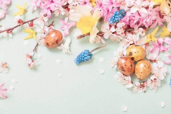 Velikonoční Pozadí Vejci Květy — Stock fotografie