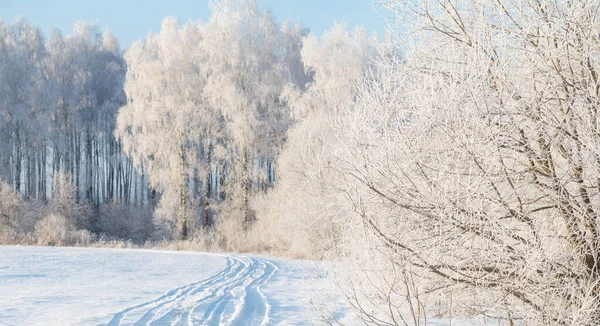 Красивый Солнечный Зимний Пейзаж Инеем — стоковое фото