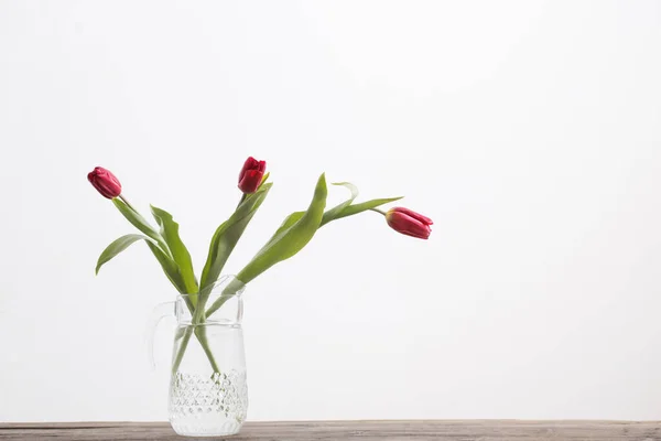 Czerwone Tulipany Szklanym Wazonie Białym Tle — Zdjęcie stockowe