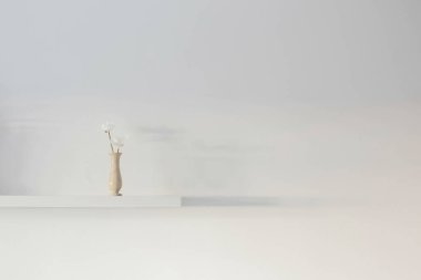 Arka plandaki beyaz duvarda vazoda iki beyaz siklamen çiçeği.