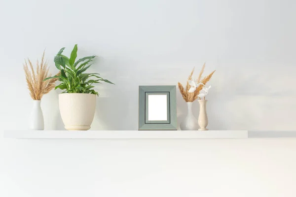 Marco Madera Con Plantas Sobre Fondo Pared Blanca — Foto de Stock