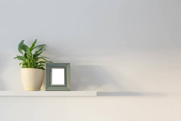 wooden frame with plants on background white wall