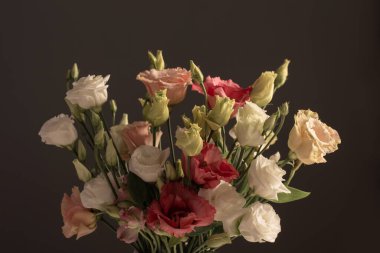 Karanlık arka planda bir buket mutluluk.