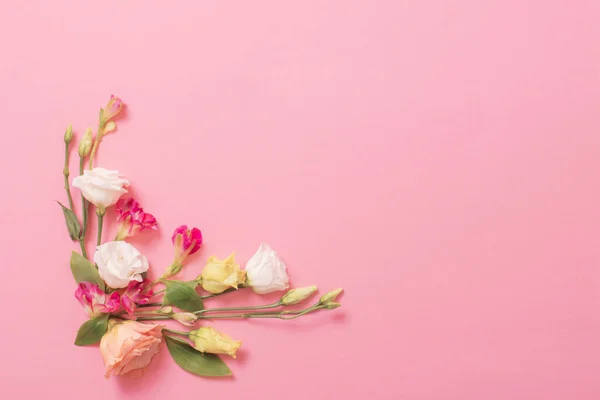 Primavera Bellissimi Fiori Sfondo Rosa — Foto Stock