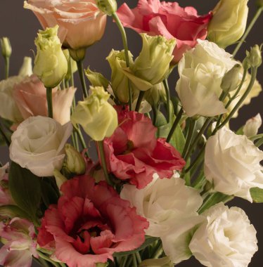 Koyu arkaplanda güzel çiçeklerin arkaplanı