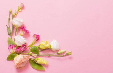 Pembe arka planda güzel çiçekler