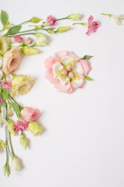 Paskalya arkaplanı, küçük yumurtalar ve beyaz üzerine pastel çiçekler.