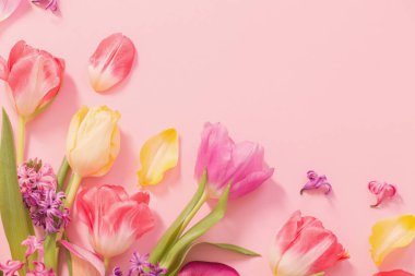 Pembe arka planda bahar çiçekleri