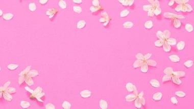 Pembe kağıtta bahar çiçekleri